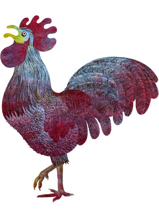 rooster-final_textured